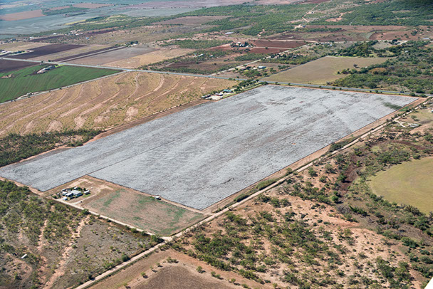 aerial photo of cotton field