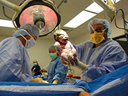 Birth Photography