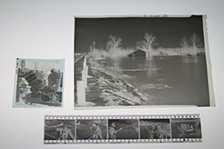 Transfer negatives to DVD or Blu-Ray