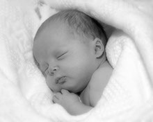 Newborn baby portrait
