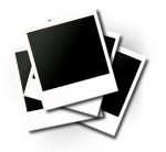 Snapshot Transfers to DVD or Blu-Ray