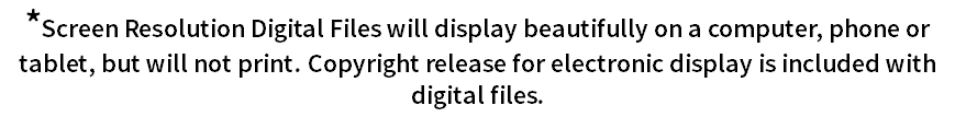 *Screen Resolution Digital Files will display beautifully on a computer, phone or tablet, but will not print. Copyright release for electronic display is included with digital files.